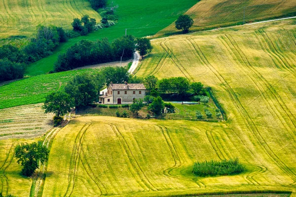 Paisagem Rural Primavera Longo Estrada Fano Mondavio Província Pesaro Urbino — Fotografia de Stock