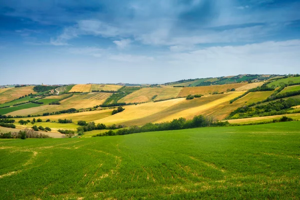 Paisagem Rural Primavera Longo Estrada Fano Mondavio Província Pesaro Urbino — Fotografia de Stock