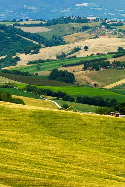 Country Landscape Springtime Road Fano Mondavio Pesaro Urbino Province Marche — Stock Photo, Image