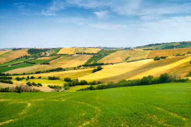 İlkbaharda Fano 'dan Mondavio' ya, Pesaro 'ya, Urbino' ya, Marche, İtalya