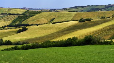 İlkbaharda Fano 'dan Mondavio' ya, Pesaro 'ya, Urbino' ya, Marche, İtalya
