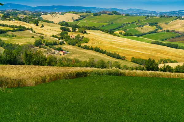 Paisagem Rural Primavera Longo Estrada Fano Mondavio Província Pesaro Urbino — Fotografia de Stock