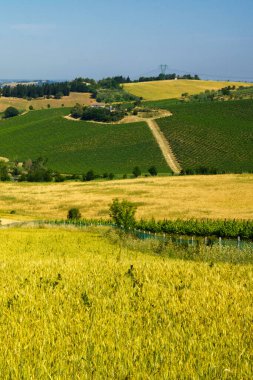 Rimini ve Verucchio yakınlarındaki ilkbahar manzarası, Emilia-Romagna, İtalya