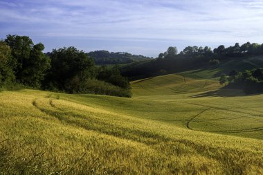 Adriatico kıyıları Gabicce Mare ve Pesaro arasında, Marche, İtalya, baharda