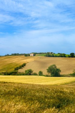 İlkbaharda Fano 'dan Mondavio' ya, Pesaro 'ya, Urbino' ya, Marche, İtalya