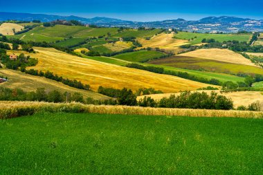 İlkbaharda Fano 'dan Mondavio' ya, Pesaro 'ya, Urbino' ya, Marche, İtalya