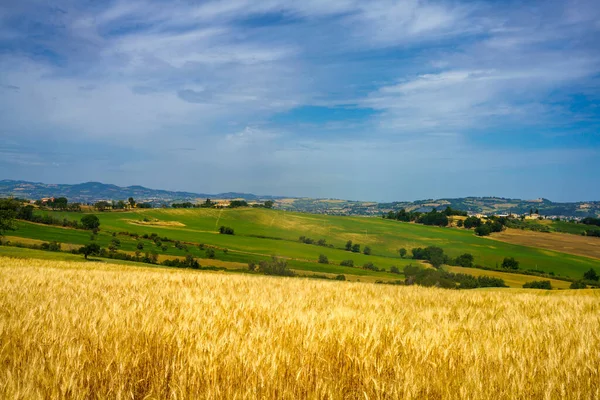 Krajobraz Wiejski Wiosną Wzdłuż Drogi Fano Mondavio Prowincja Pesaro Urbino — Zdjęcie stockowe