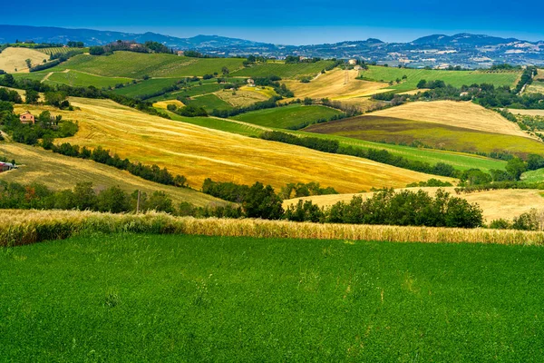İlkbaharda Fano 'dan Mondavio' ya, Pesaro 'ya, Urbino' ya, Marche, İtalya
