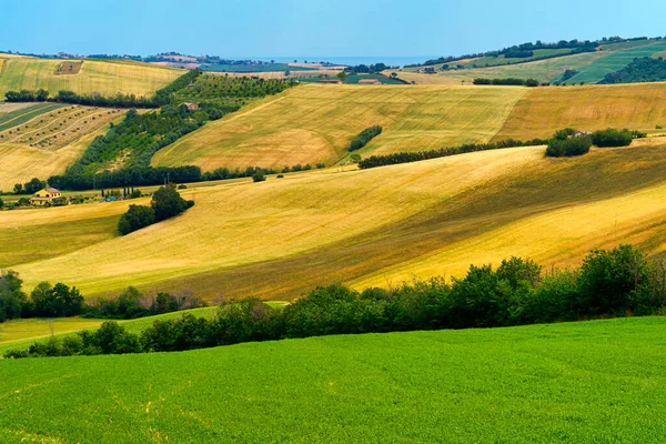 Paisaje Rural Primavera Por Carretera Fano Mondavio Provincia Pesaro Urbino —  Fotos de Stock