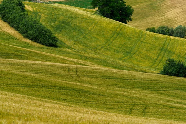 Country Landscape Springtime Road Fano Mondavio Pesaro Urbino Province Marche — Stock Photo, Image