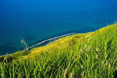 Adriatico kıyıları Gabicce Mare ve Pesaro arasında, Marche, İtalya, baharda