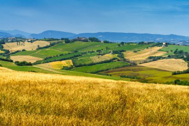 İlkbaharda Fano 'dan Mondavio' ya, Pesaro 'ya, Urbino' ya, Marche, İtalya