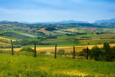 İlkbaharda Fano 'dan Mondavio' ya, Pesaro 'ya, Urbino' ya, Marche, İtalya