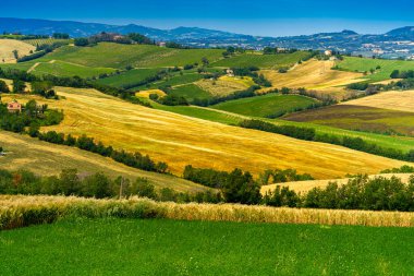 İlkbaharda Fano 'dan Mondavio' ya, Pesaro 'ya, Urbino' ya, Marche, İtalya