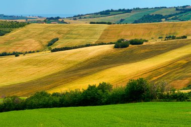 İlkbaharda Fano 'dan Mondavio' ya, Pesaro 'ya, Urbino' ya, Marche, İtalya