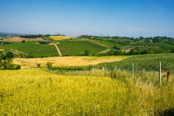 Landskap Våren Nära Rimini Och Verucchio Emilia Romagna Italien — Stockfoto