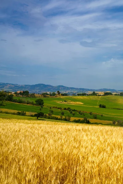 Landskap Våren Längs Vägen Från Fano Till Mondavio Pesaro Urbino — Stockfoto