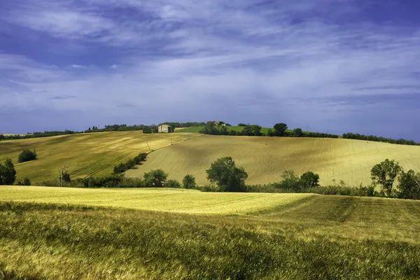 Landschaft Frühling Entlang Der Straße Von Fano Nach Mondavio Provinz — Stockfoto