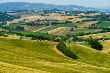 İlkbaharda Fano 'dan Mondavio' ya, Pesaro 'ya, Urbino' ya, Marche, İtalya