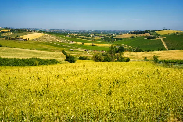 Country Landscape Springtime Rimini Verucchio Emilia Romagna Italy — Stock Photo, Image