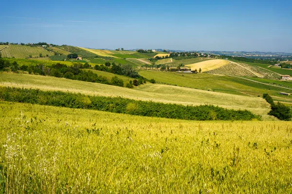 Landskap Våren Nära Rimini Och Verucchio Emilia Romagna Italien — Stockfoto