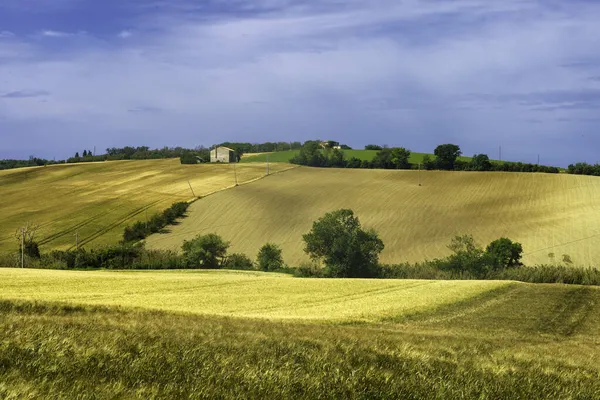 Country Landscape Springtime Road Fano Mondavio Pesaro Urbino Province Marche — Stock Photo, Image