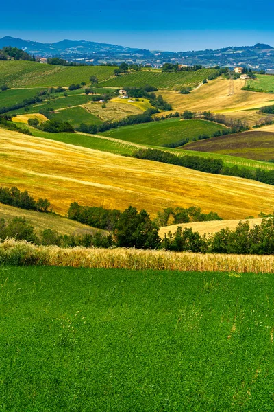 Landskap Våren Längs Vägen Från Fano Till Mondavio Pesaro Urbino — Stockfoto