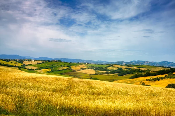 Krajina Jaře Podél Silnice Fano Mondavia Provincie Pesaro Urbino Marche — Stock fotografie