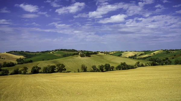 Landskap Längs Vägen Från Ostra Vetere Till Cingoli Ancona Provinsen — Stockfoto