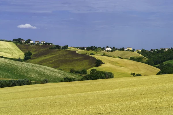 Landskap Längs Vägen Från Ostra Vetere Till Cingoli Ancona Provinsen — Stockfoto