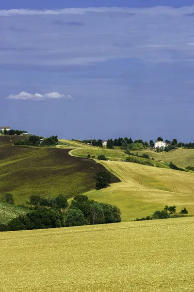Paysage Rural Long Route Ostra Vetere Cingoli Province Ancône Marches — Photo