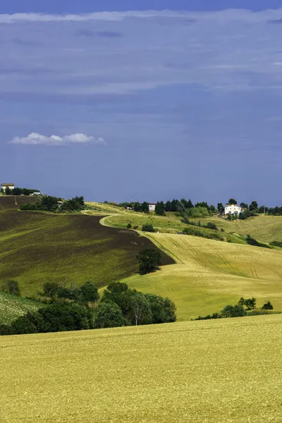 Landskap Längs Vägen Från Ostra Vetere Till Cingoli Ancona Provinsen — Stockfoto