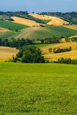 İlkbaharda Ostra Vetere 'den Cingoli' ye, Ancona 'ya, Marche, İtalya' ya giden yol boyunca kır manzarası