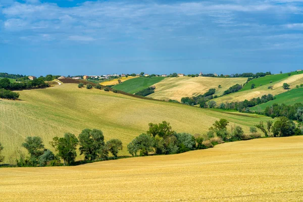 Krajobraz Wiejski Wzdłuż Drogi Ostra Vetere Cingoli Prowincja Ancona Marche — Zdjęcie stockowe