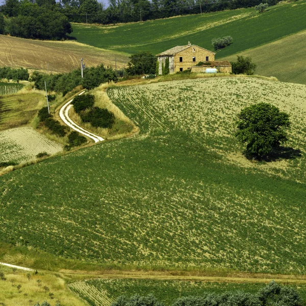 Paisagem Rural Longo Estrada Ostra Vetere Para Cingoli Província Ancona — Fotografia de Stock