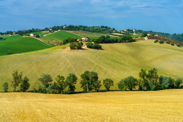 Country Landscape Road Ostra Vetere Cingoli Ancona Province Marche Italy — Stock Photo, Image