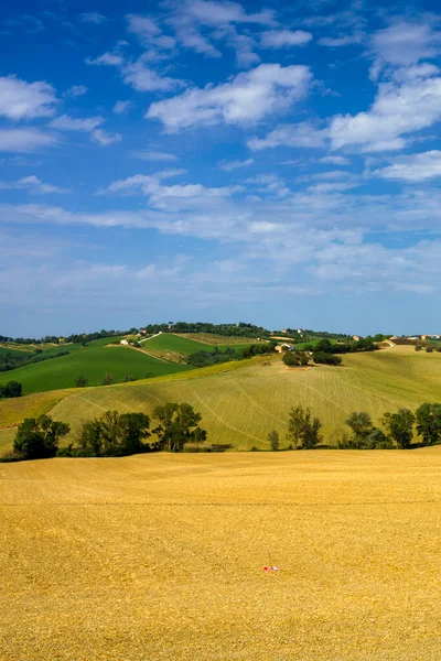 意大利马切 安科纳省 Ostra Vetere至Cingoli公路沿线的乡村景观 — 图库照片
