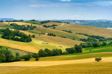 İlkbaharda Santa Maria Nuova 'dan Osimo, Ancona' ya, Marche, İtalya 'ya giden yol boyunca uzanan kır manzarası.