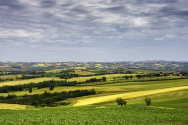 İlkbaharda Cingoli 'den Appignano' ya, Ancona 'ya, Marche, İtalya' ya giden yol boyunca kır manzarası
