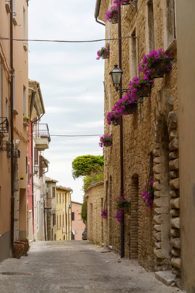 Cingoli Province Ancône Marches Italie Bâtiments Historiques Une Vieille Rue — Photo