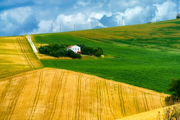 Krajina Podél Silnice Filottrana Santa Maria Nuova Provincie Ancona Březen — Stock fotografie