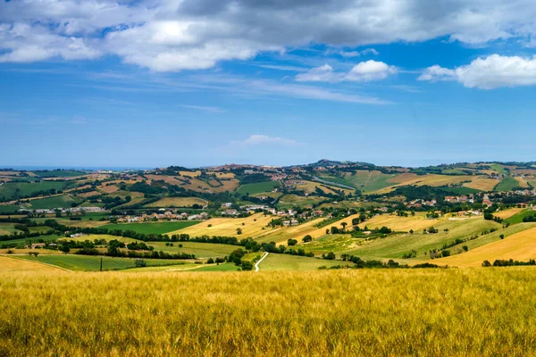 意大利马什 安科纳省Santa Maria Nuova至Osimo公路沿线的乡村景观 — 图库照片