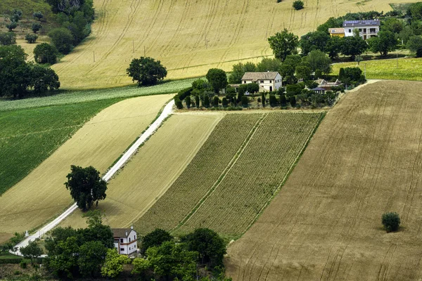 Paesaggio Campestre Lungo Strada Santa Maria Nuova Osimo Provincia Ancona — Foto Stock