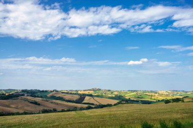 Country landscape along the road from Ostra Vetere to Cingoli, Ancona province, Marche, Italy, at springtime clipart