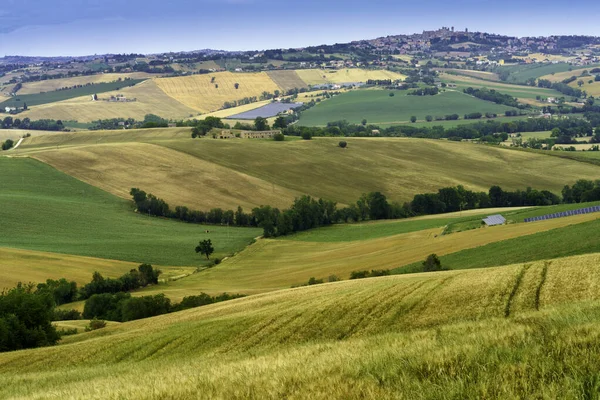 İlkbaharda Cingoli 'den Appignano' ya, Ancona 'ya, Marche, İtalya' ya giden yol boyunca kır manzarası