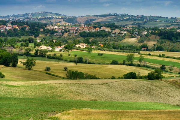 Paisagem Rural Longo Estrada Cingoli Appignano Província Ancona Marche Itália — Fotografia de Stock