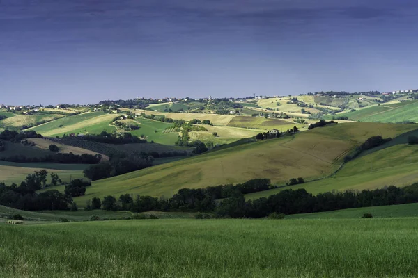 Krajobraz Wiejski Wzdłuż Drogi Ostra Vetere Cingoli Prowincja Ancona Marche — Zdjęcie stockowe
