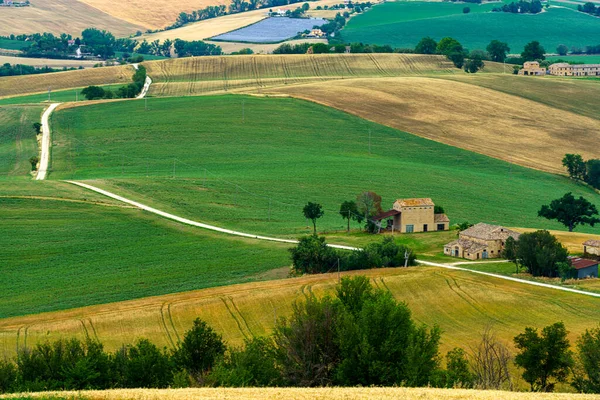 Paisaje Rural Largo Del Camino Cingoli Appignano Provincia Ancona Marche — Foto de Stock