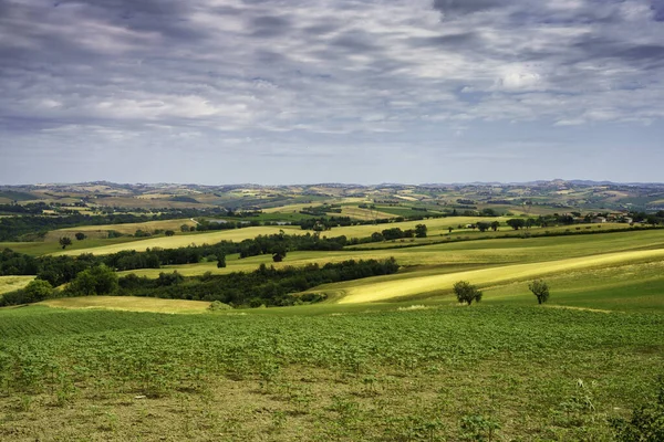 Landskap Längs Vägen Från Cingoli Till Appignano Anconaprovinsen Marche Italien — Stockfoto