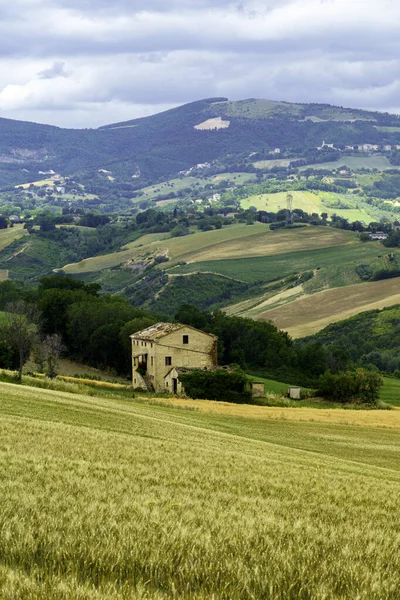Αγροτικό Τοπίο Κατά Μήκος Του Δρόμου Από Cingoli Προς Appignano — Φωτογραφία Αρχείου